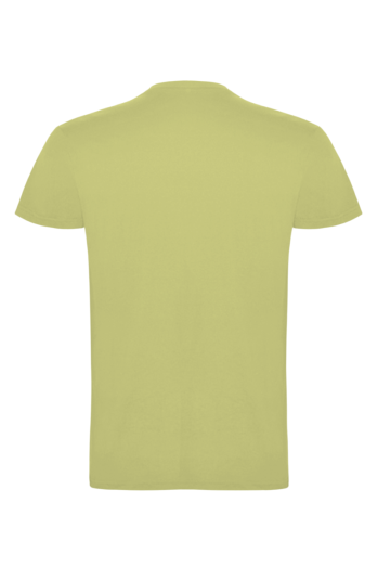 Футболка UNISEX U0102P Fistashka
