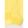Світшот дитячий для хлопчика жовтий утеплений RAY BASIC KIDS K0303