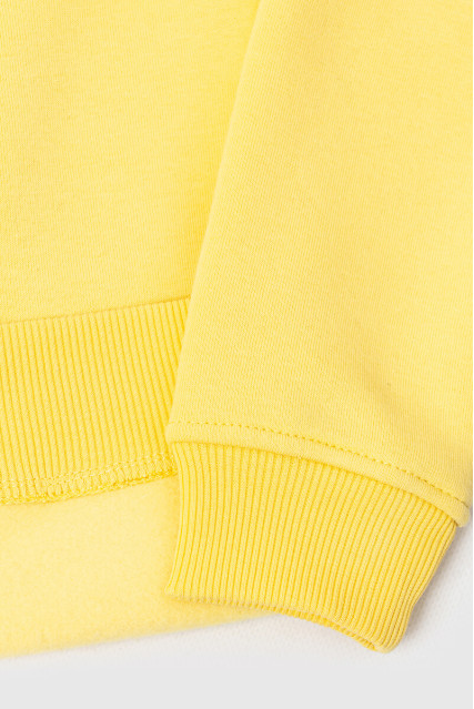 Світшот дитячий для хлопчика жовтий утеплений RAY BASIC KIDS K0303
